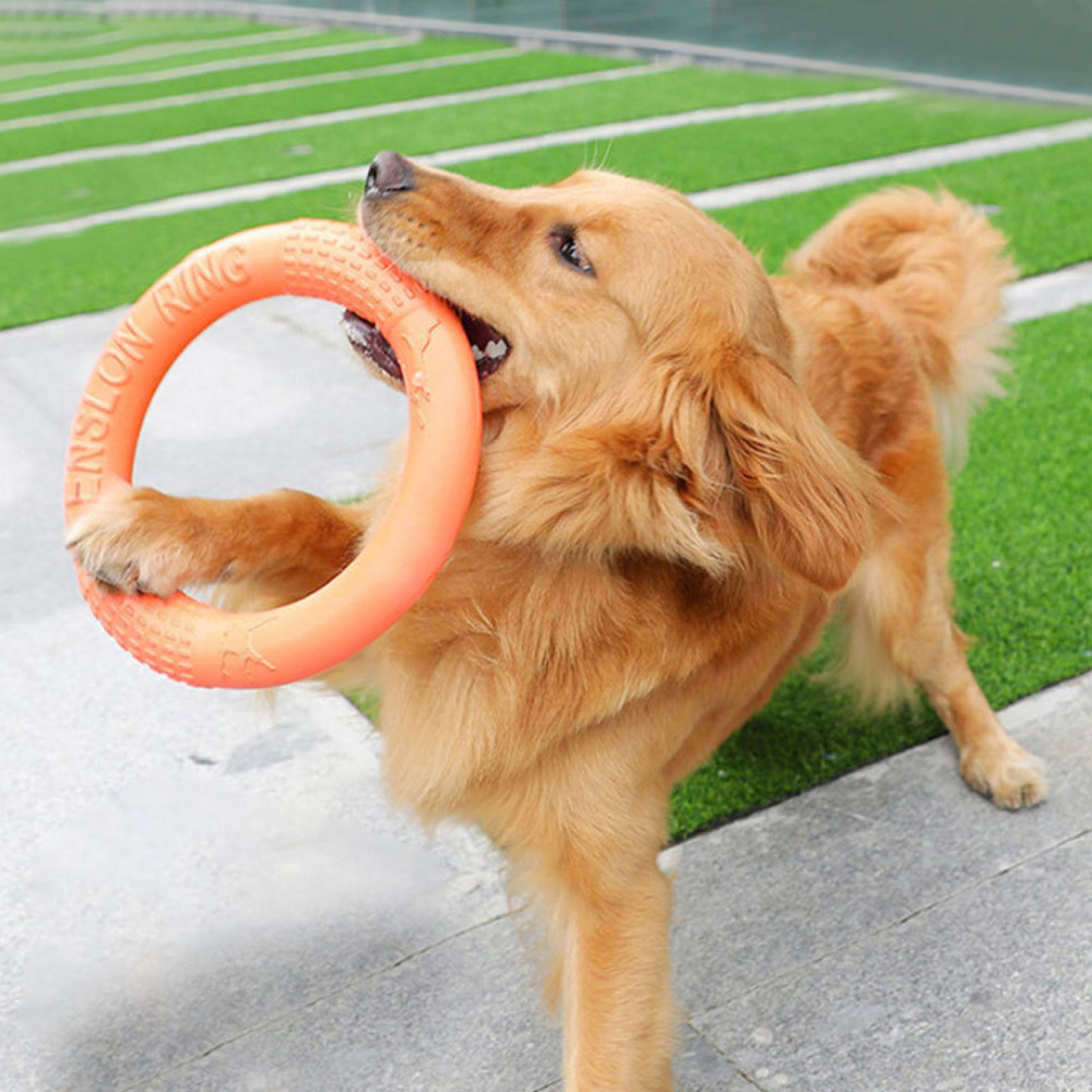 Flying Disc Dog Training Toy - 1 Stuk Oranje Hond Speelgoed Huisdier
