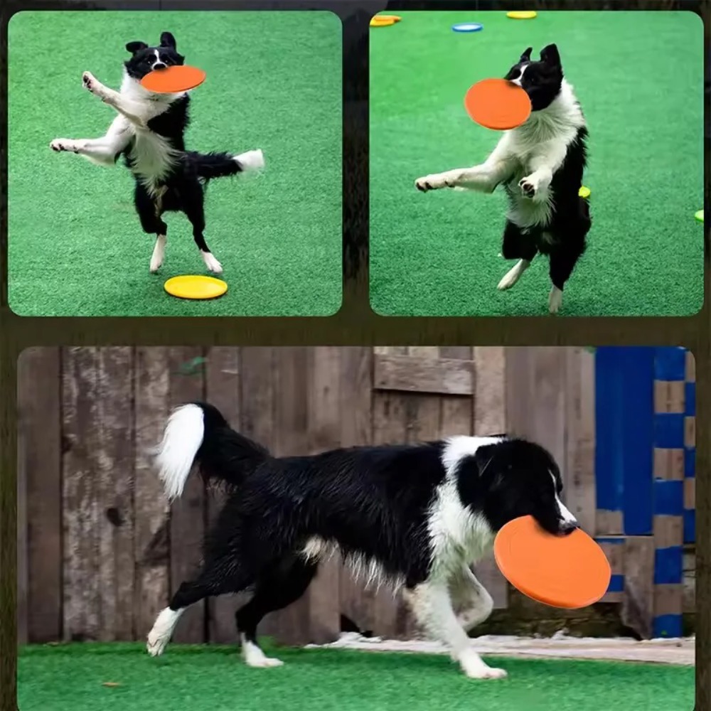 Flying Disc Dog Training Toy - Hondenvliegende schijf TPR huisdier speelgoed interactief