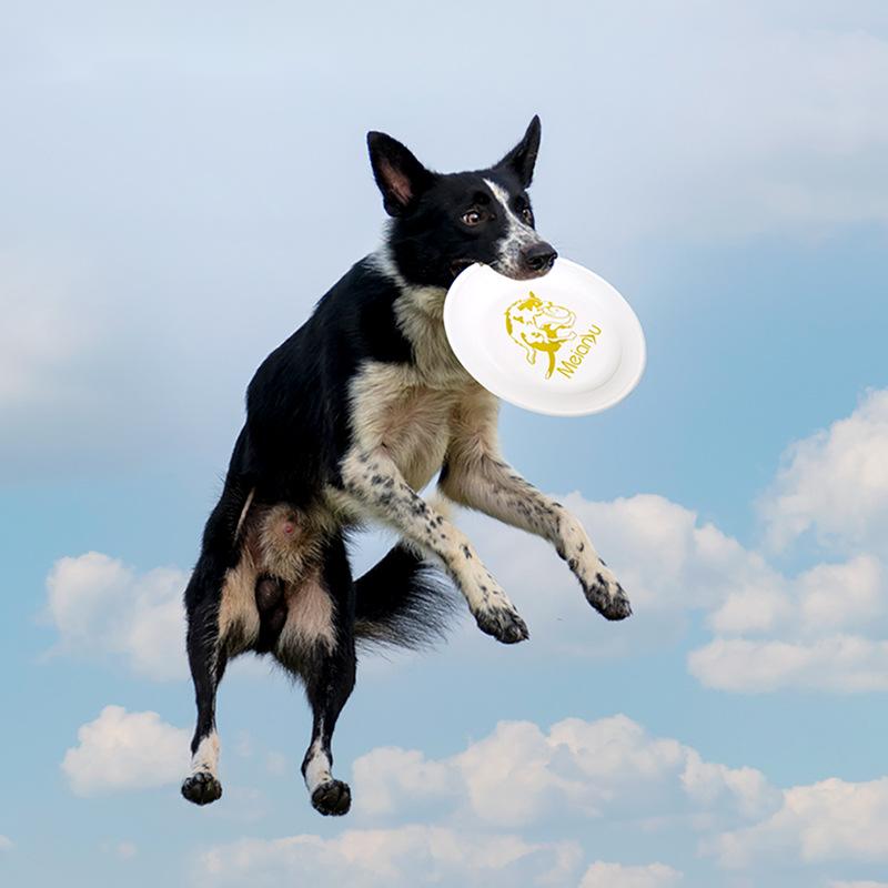 Flying Disc Dog Training Toy - Ouzey Bijtbestendig Huisdier Training Vliegende Schijf