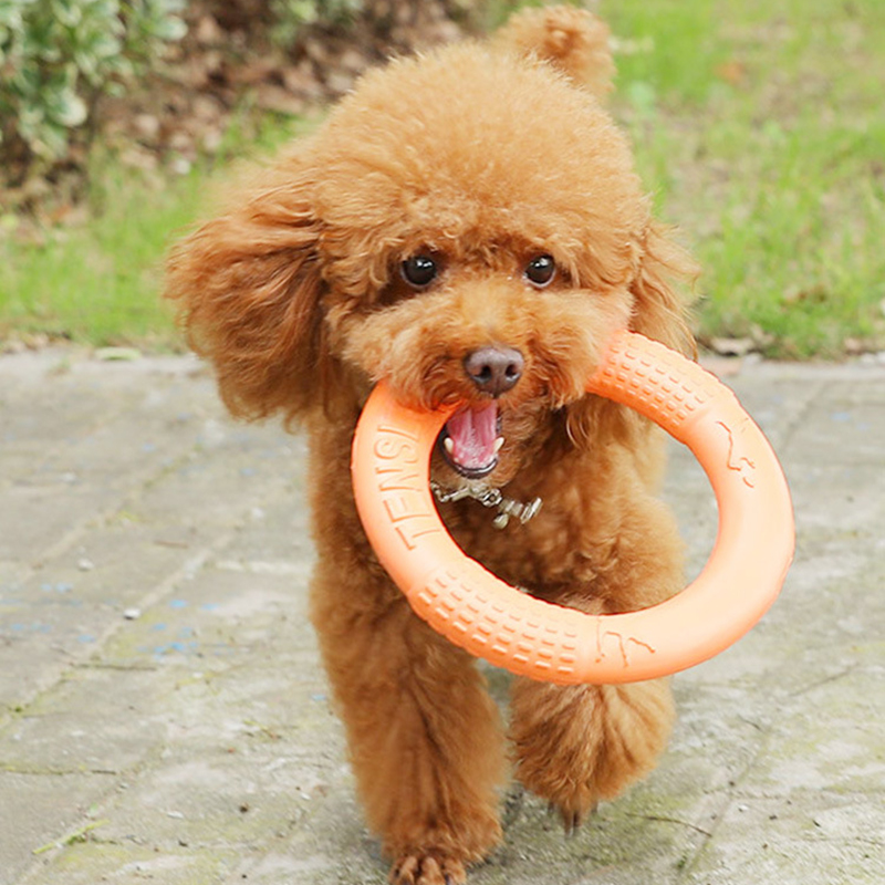 1 Stuk Oranje Hond Speelgoed H - Flying Disc Dog Training Toy recensie en prijs