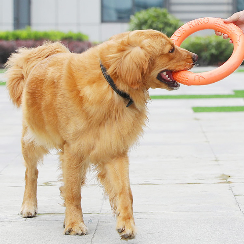 1 Stuk Oranje Hond Speelgoed H - Flying Disc Dog Training Toy recensie en prijs