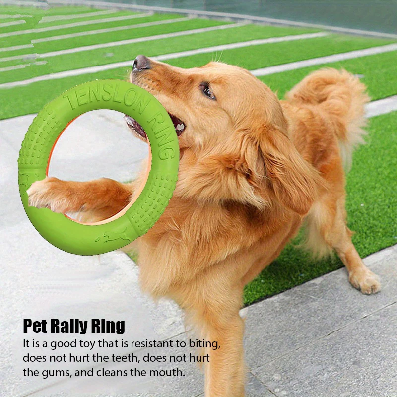 Hondentraining Speelgoed Buite - Flying Disc Dog Training Toy recensie en prijs