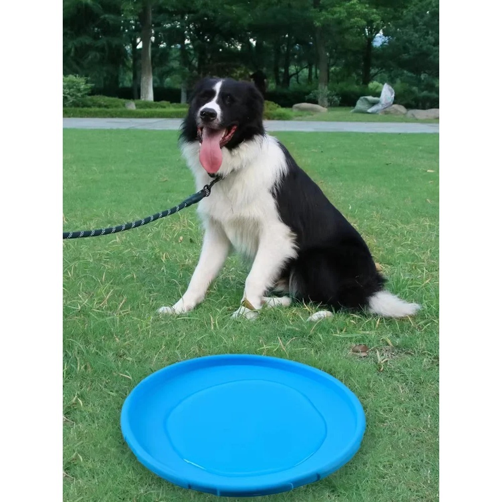Hondenvliegende schijf TPR hui - Flying Disc Dog Training Toy recensie en prijs