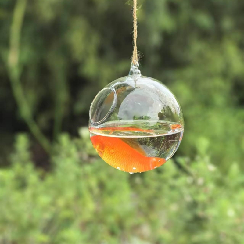 Kleine verpakkingsdiameter=10c - Aquarium recensie en prijs