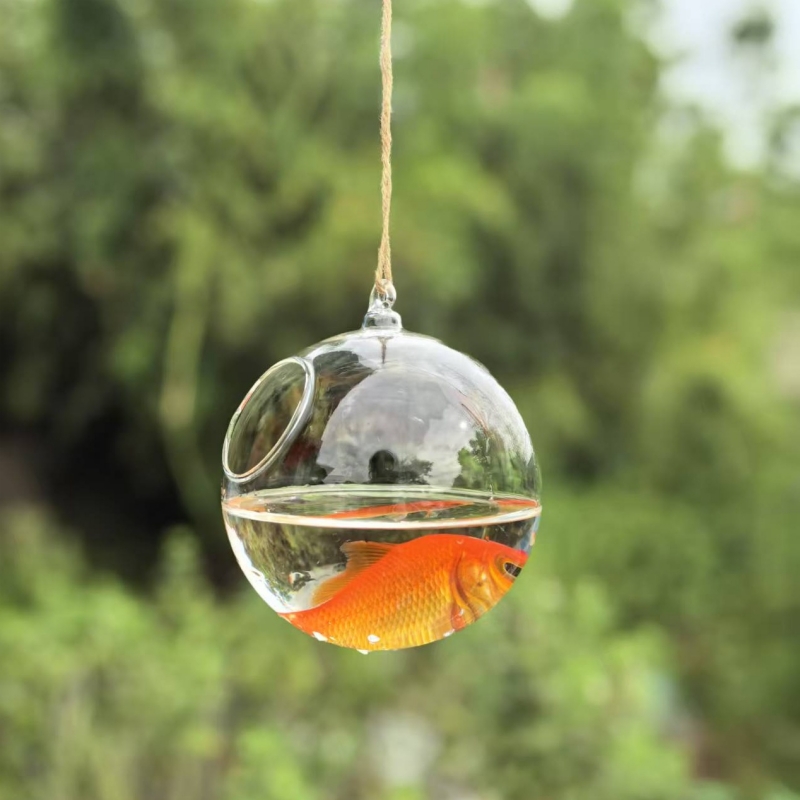 Kleine verpakkingsdiameter=10c - Aquarium recensie en prijs