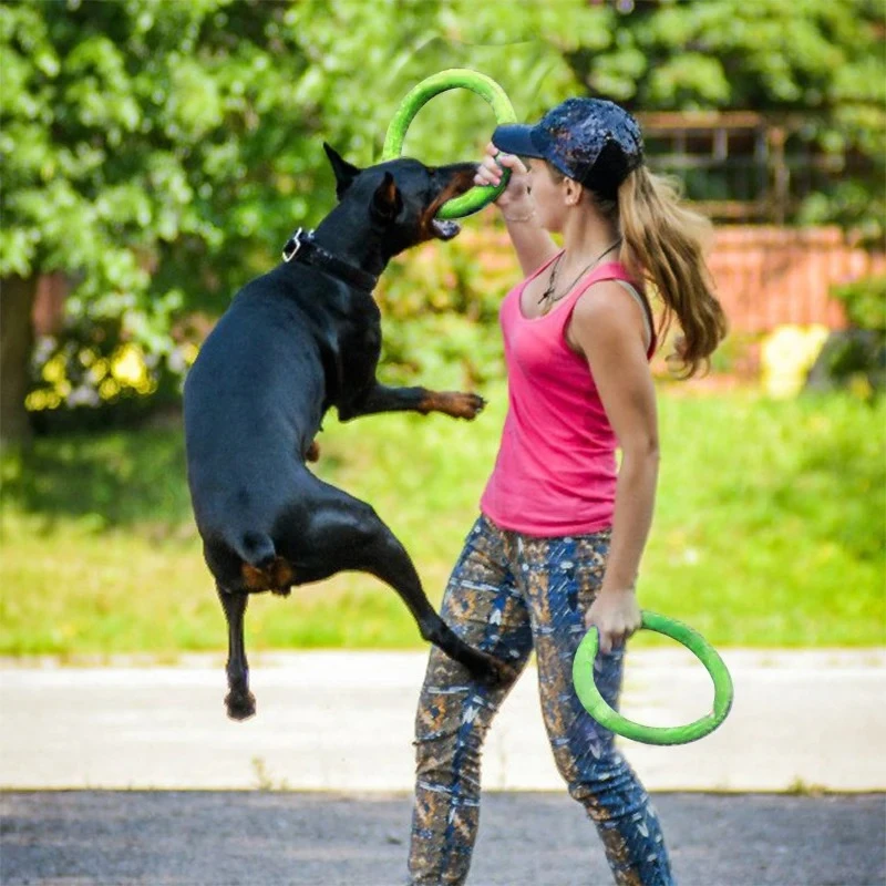 Honden Speelgoed Huisdier Vlie - Flying Disc Dog Training Toy recensie en prijs