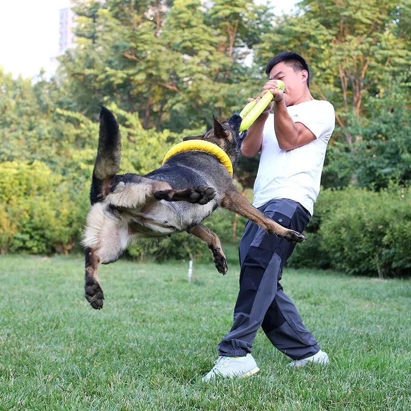 Honden Speelgoed Huisdier Vlie - Flying Disc Dog Training Toy recensie en prijs