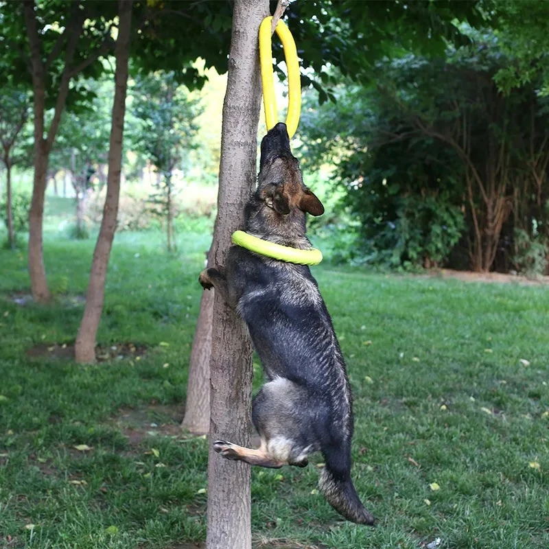 Honden Speelgoed Huisdier Vlie - Flying Disc Dog Training Toy recensie en prijs