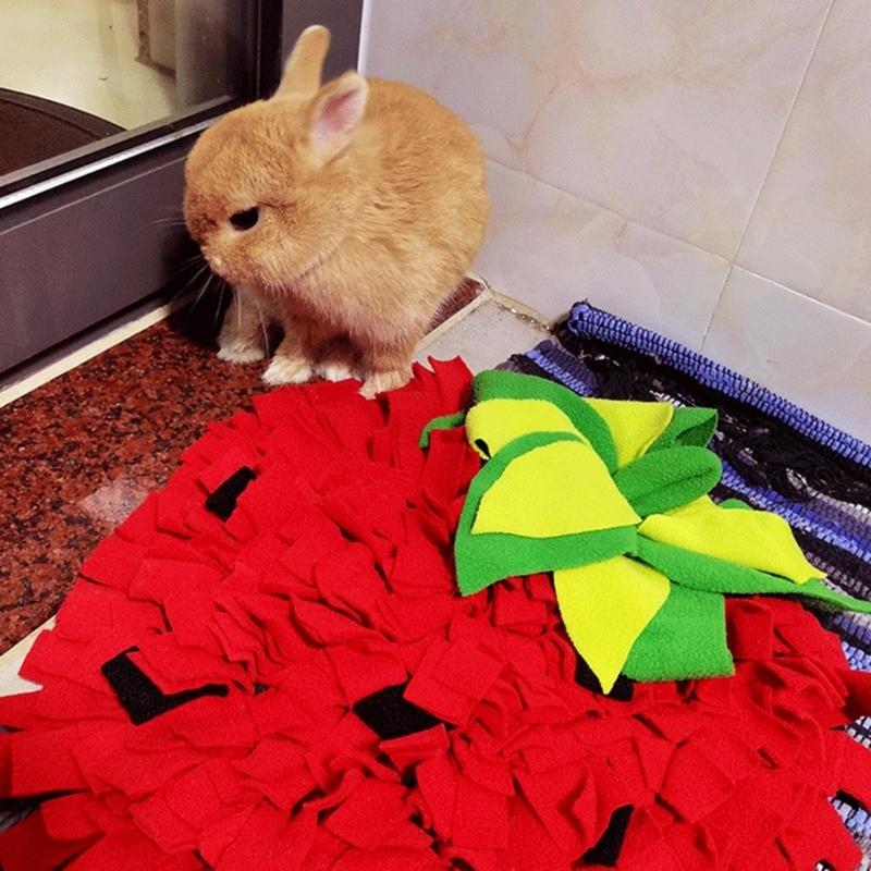 Grote snuffelmat voor honden,  - Snuffle Mat For Dogs recensie en prijs