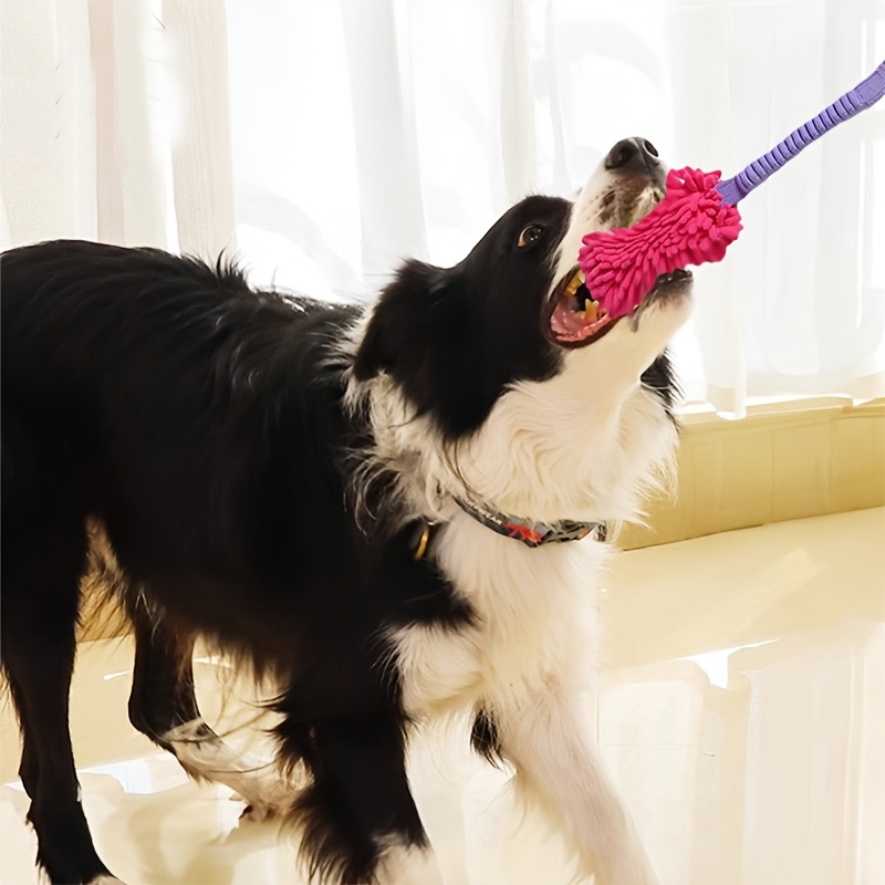 Duurzaam hondenspeelgoed voor  - Dog Rope Toy Aggressive Chewers recensie en prijs
