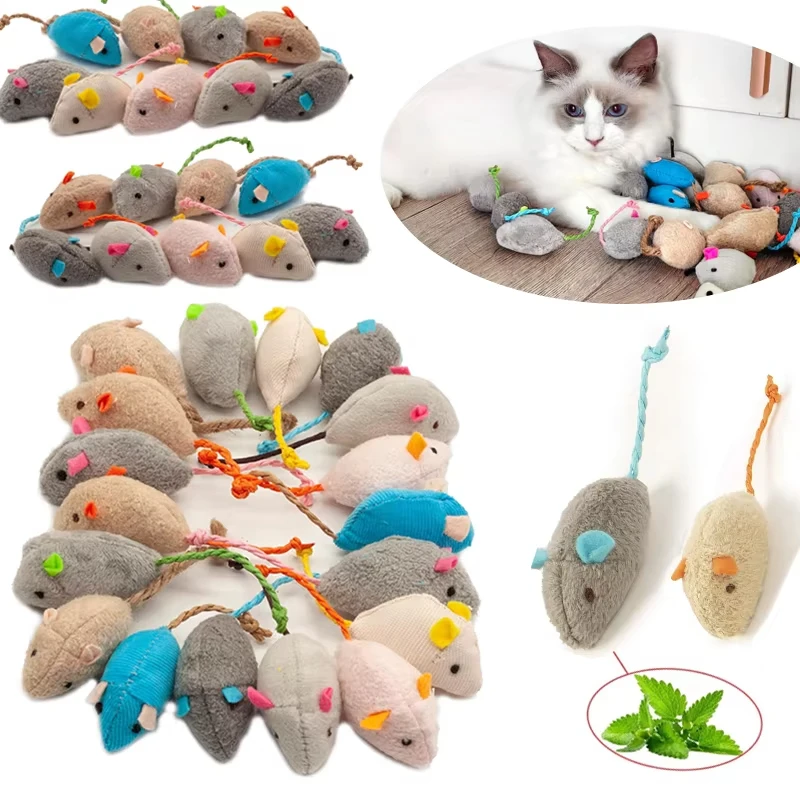 5 stuks rammelaar kattenmuizen - Catnip Interactive Plush Mouse recensie en prijs